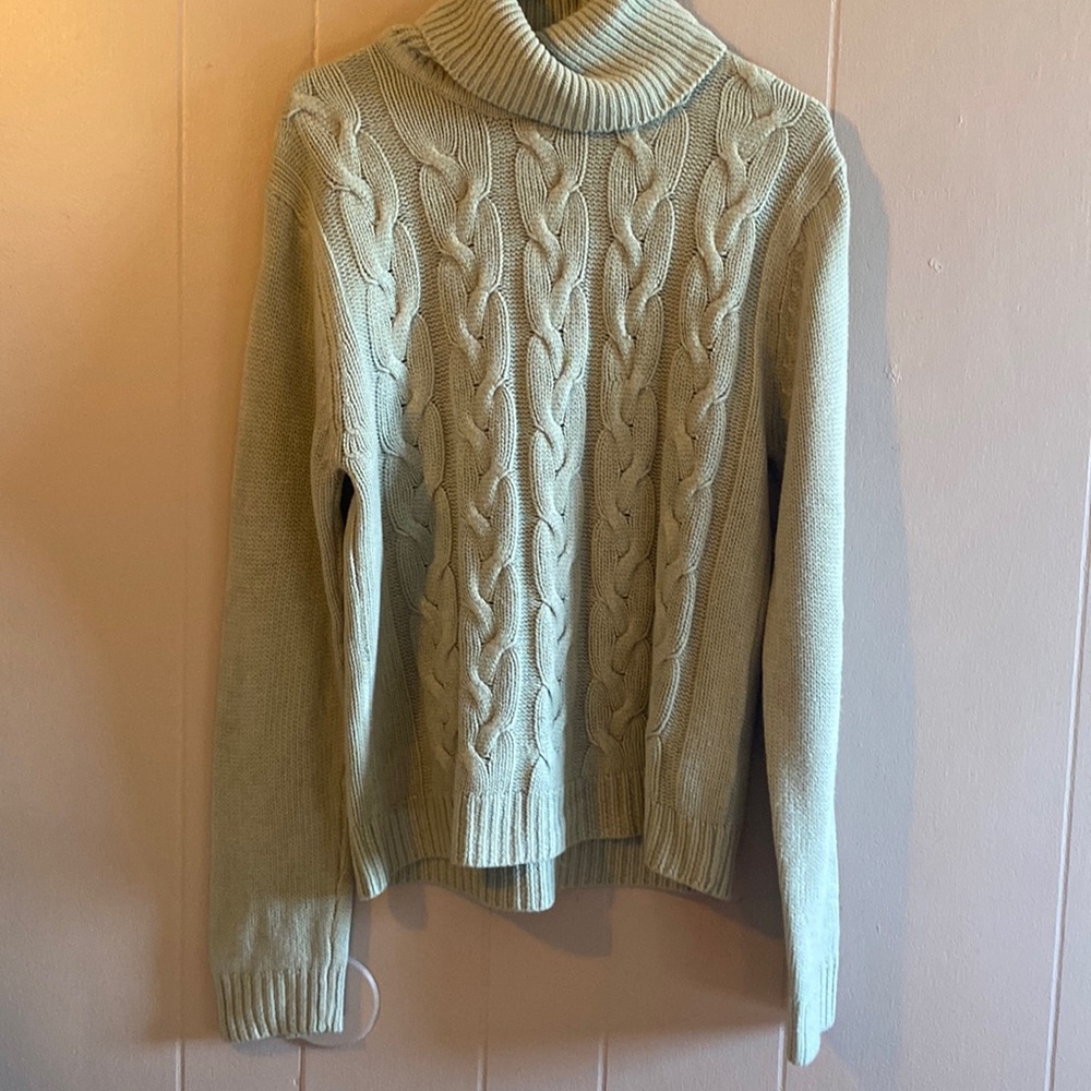 Sage color turtleneck.